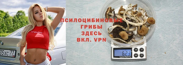 не бодяженный Белокуриха
