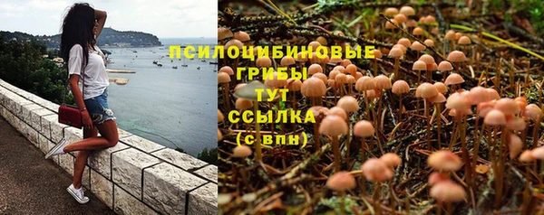 2c-b Богданович