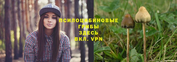 не бодяженный Белокуриха