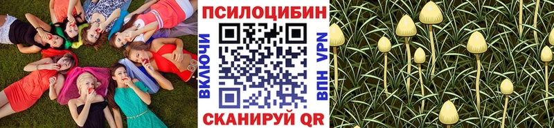 Галлюциногенные грибы Psilocybe  где купить наркоту  Бирюч 